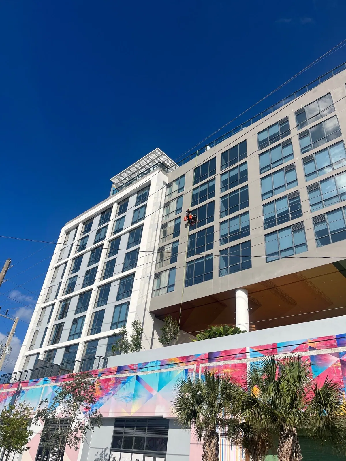 FB Wynwood facade and window walls