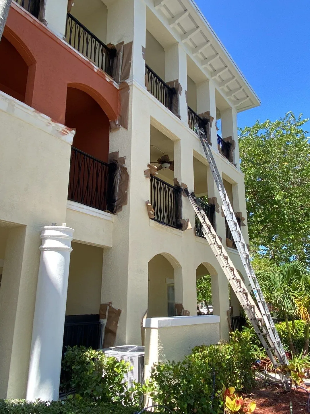 MTD painter on a ladder at Orchid Grove